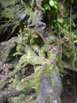 2012-11-27_13-03-29_IMGP1726.jpg