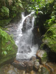 2012-11-27_13-09-42_IMGP1731.jpg