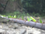 2012-11-27_14-31-37_IMGP1770.jpg
