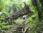 Photos