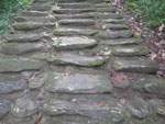 2012-11-27_15-36-17_IMGP1799.jpg