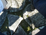 2012-11-28_08-57-39_IMGP1881.jpg