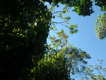 2012-11-28_09-51-54_IMGP1905.jpg