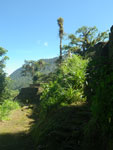 2012-11-28_10-44-19_IMGP1952.jpg