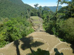 Photos