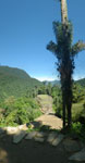 2012-11-28_10-54-09_IMGP1971-pan.jpg
