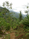 2012-11-28_15-36-48_IMGP2033.jpg