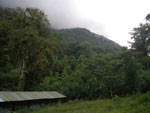 2012-11-28_16-40-24_IMGP2073.jpg