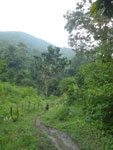 2012-11-28_16-52-54_IMGP2075.jpg