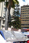 2012-12-04_13-32-35_DSC_8526.jpg