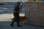 2012-12-04_15-15-54_DSC_8634.jpg