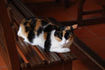 2012-12-04_15-31-18_DSC_8677.jpg