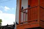 2012-12-04_15-31-50_DSC_8681.jpg