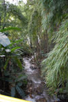 2012-12-04_16-25-34_DSC_8715.jpg