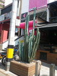 2012-12-06_12-27-49_IMGP2378.jpg
