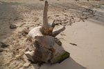 2012-12-07_15-51-36_DSC_8842.jpg