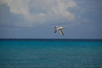 2012-12-07_16-01-05_DSC_8898.jpg