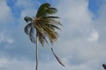 2012-12-07_16-12-23_DSC_8914.jpg