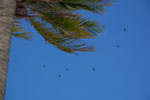 2012-12-07_16-15-14_DSC_8922.jpg