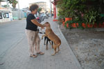 2012-12-07_16-55-21_DSC_8942.jpg
