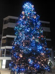 2012-12-09_01-23-58_2012-12-09-01.23.58.jpg