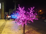 2012-12-09_22-46-37_IMGP2623.jpg
