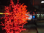 2012-12-09_22-47-36_IMGP2625.jpg
