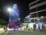 2012-12-09_22-55-53_IMGP2627.jpg