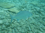 2012-12-10_11-22-39_IMGP2670.jpg