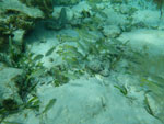 2012-12-10_11-40-25_IMGP2696.jpg