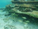 2012-12-10_11-50-52_IMGP2709.jpg