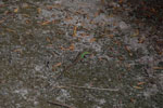 2012-12-10_14-32-53_DSC_9090.jpg