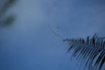 2012-12-10_14-34-18_DSC_9095.jpg