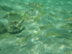 2012-12-11_14-51-14_IMGP2851.jpg