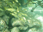 2012-12-11_14-52-28_IMGP2862.jpg