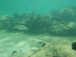2012-12-11_14-58-34_IMGP2896.jpg