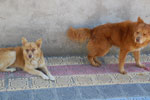 2012-12-17_14-49-56_DSC_9430.jpg