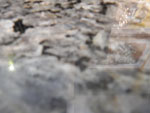 2012-12-19_14-20-33_IMGP4139.jpg