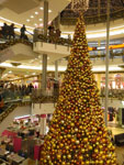2012-12-22_19-24-41_IMGP4758.jpg