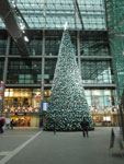 2012-12-29_09-23-51_IMGP4868.jpg