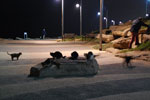 2012-12-30_19-32-40_DSC_0051.jpg