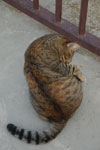 2013-01-02_15-58-25_DSC_0343.jpg