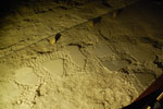 2013-01-03_15-30-22_DSC_0923.jpg