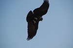2013-01-05_10-32-32_DSC_1400.jpg