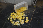 2013-01-07_11-21-36_DSC_1897.jpg