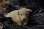 2013-01-08_10-22-44_DSC_1989.jpg