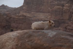 2013-01-08_14-34-24_DSC_2254.jpg