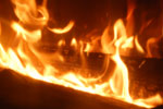 Photos