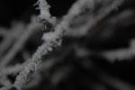2013-01-17_17-36-25_DSC_3146.jpg