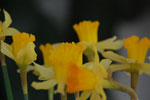 2013-01-18_13-45-40_DSC_3184.jpg